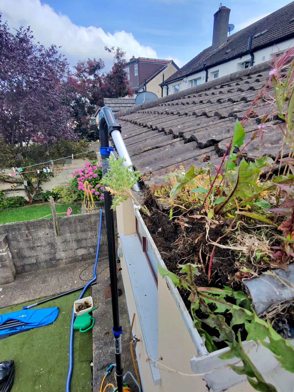 Gutter Cleaning & Fascia/Soffit