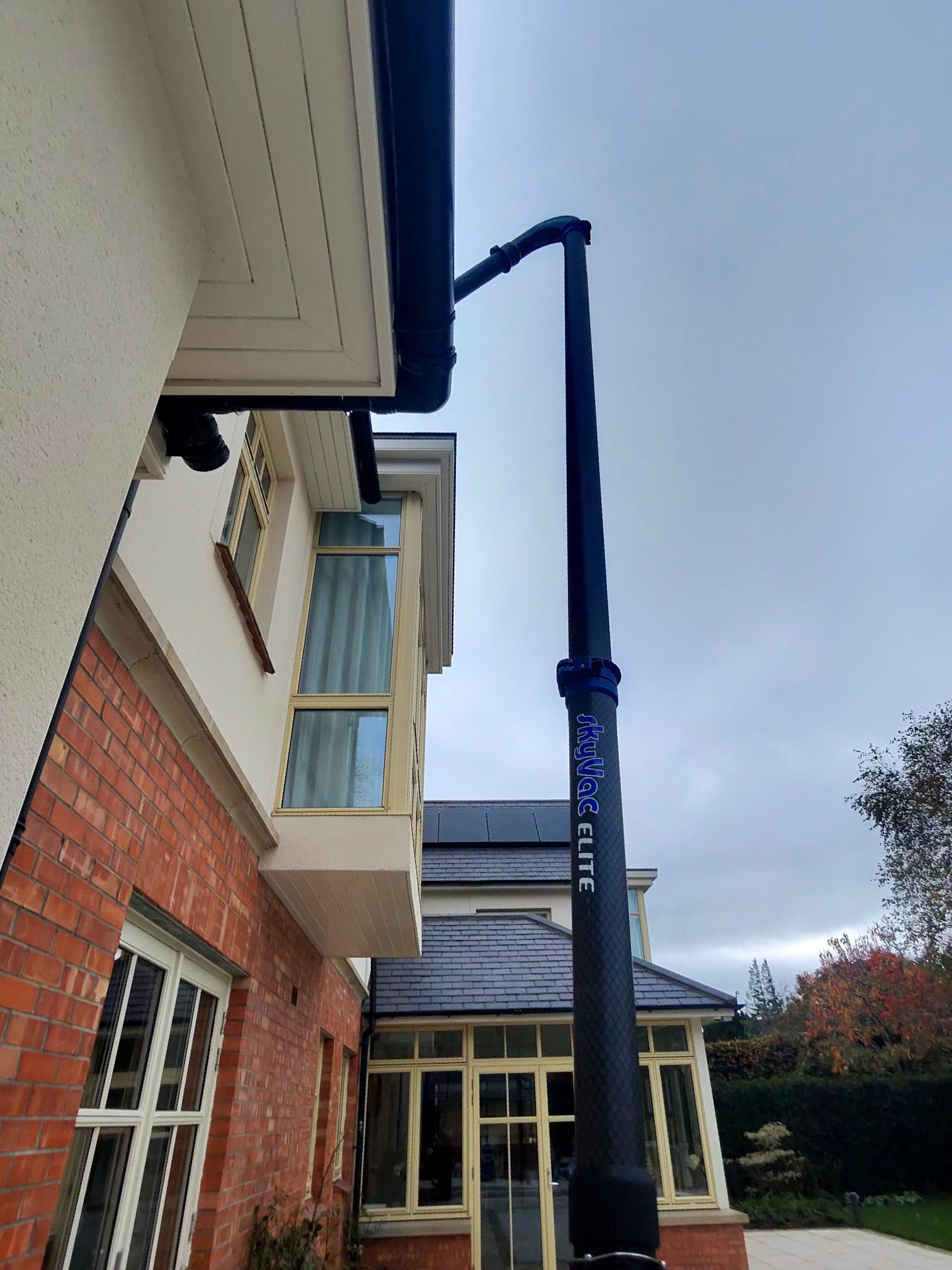 Gutter Cleaning & Fascia/Soffit