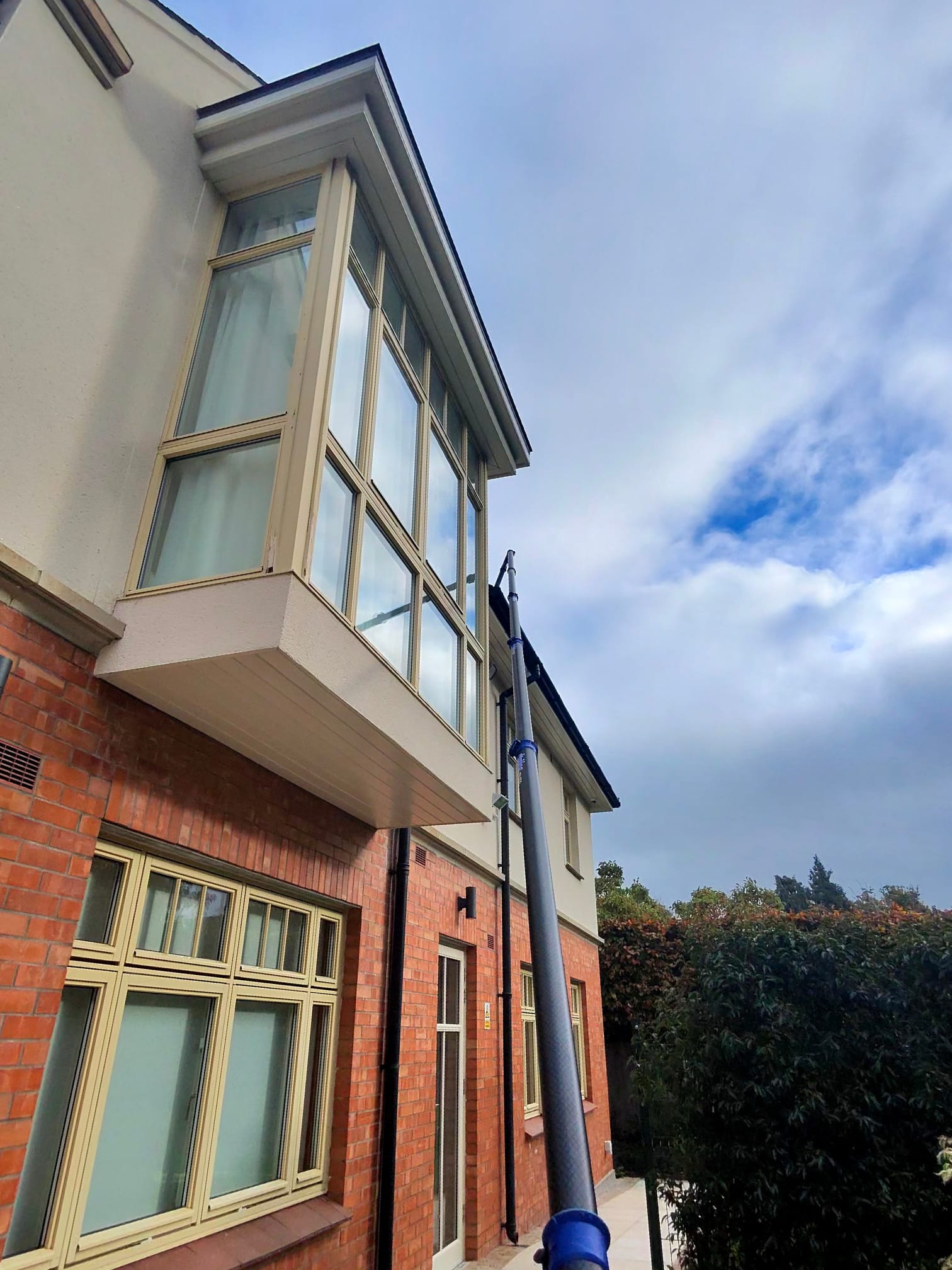 Gutter Cleaning & Fascia/Soffit